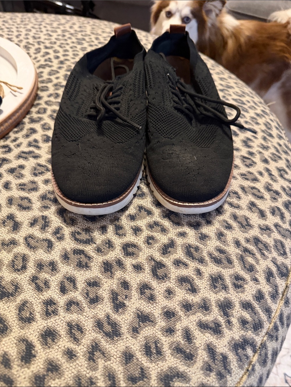 Men's Black Knit Derby Shoes with White Sole